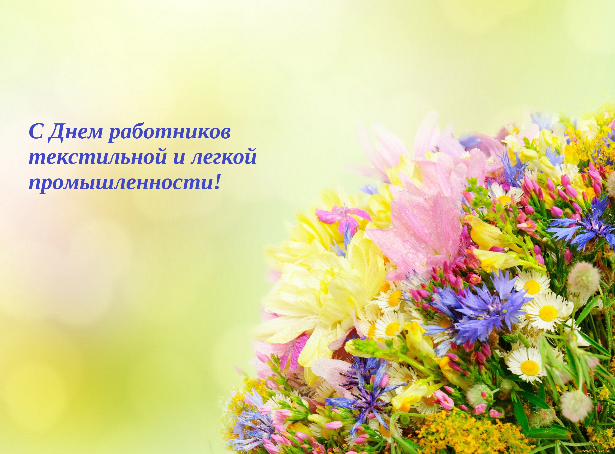 С профессиональным праздником – Днем работников текстильной и легкой промышленности!