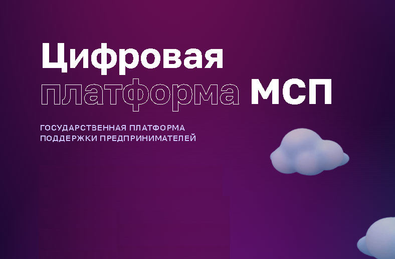 О цифровой платформе МСП