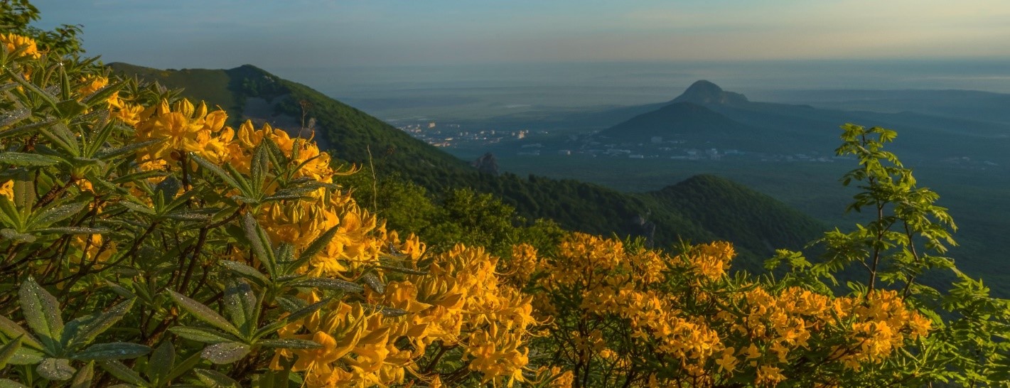 23-24 октября 2025 года в городе Ставрополе состоится III межрегиональная научно-практическая конференция «Сохранение природно-заповедного наследия и экологическая стратегия промышленных предприятий»